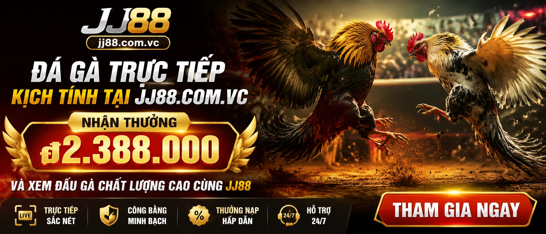 Không gian Đá Gà Trực Tiếp trên JJ88 với giao diện live dễ theo dõi
